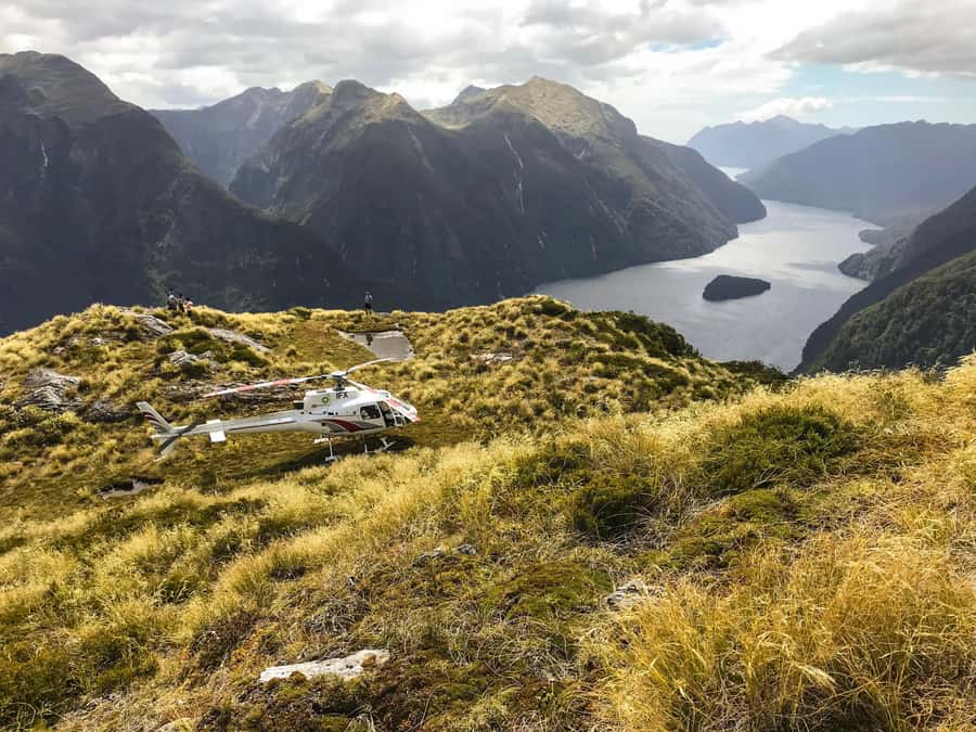 Te Anau: 30-Minute Fiordland National Park Scenic Flight - Is NZ$230 a fair price?