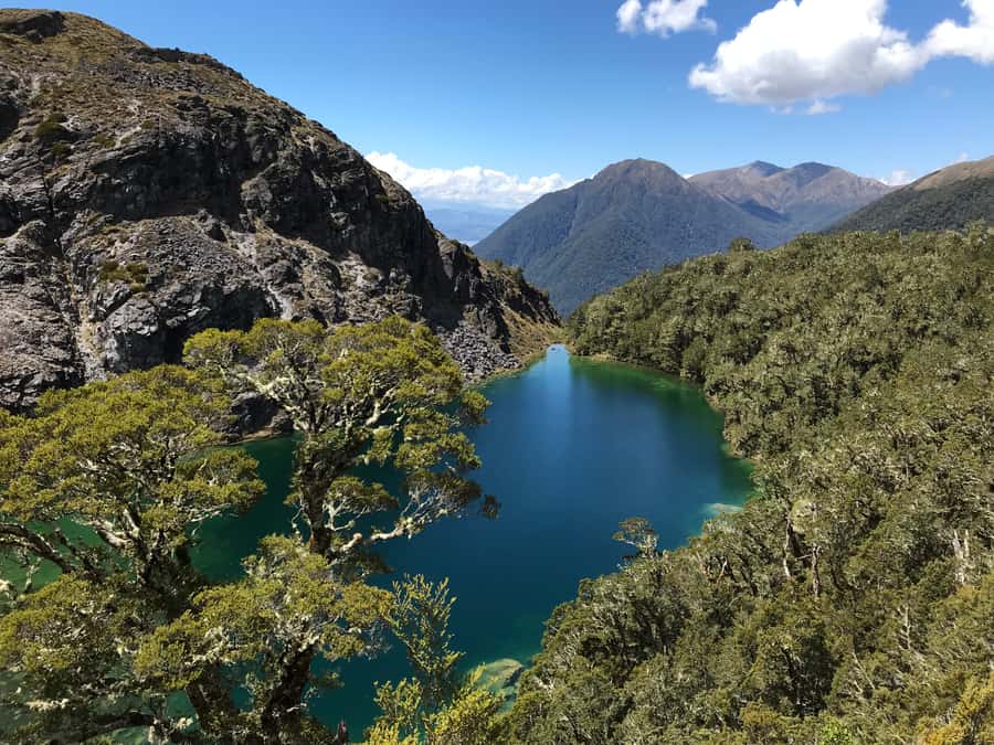 Te Anau: 30-Minute Fiordland National Park Scenic Flight - Flying over the Kepler Track