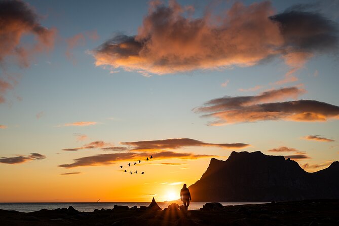 Tour of the authentic fjords of Kvaløya - Ersfjorden and Kvaløya’s changing views