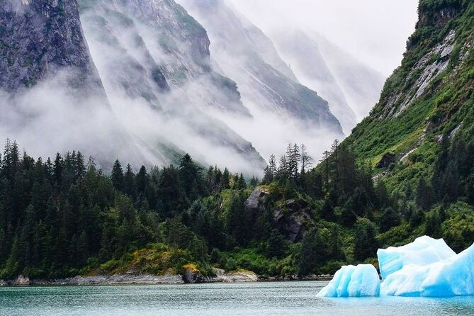 Tracy Arm Fjord and Glacier Explorer from Juneau - Why Tracy Arm Is Worth a Full Day from Juneau