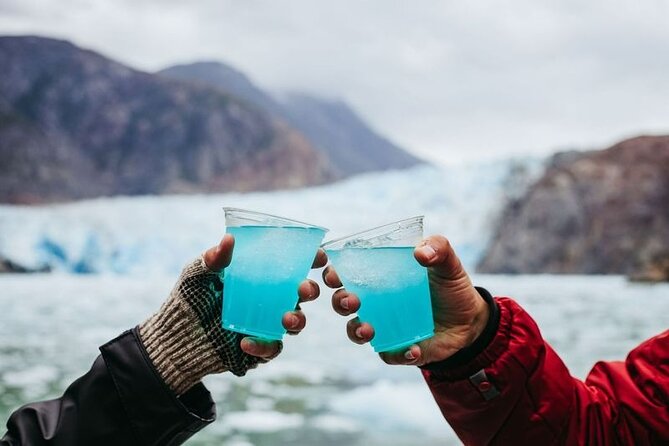 Tracy Arm Fjord and Glacier Explorer from Juneau - Whale Watching Along the Route