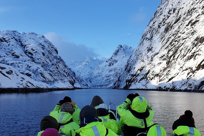 Trollfjord and Sea Eagle Safari Tour from Svolvaer - Key points to know before booking