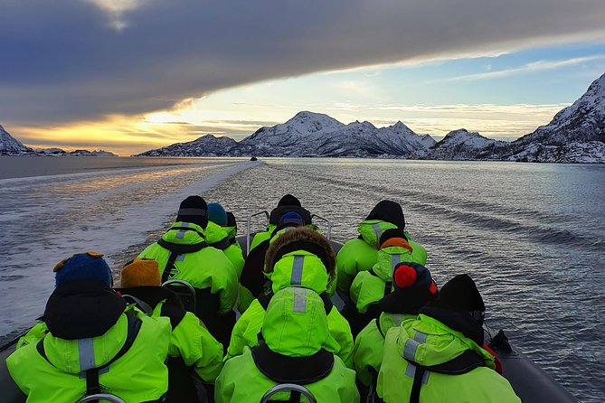 Trollfjord and Sea Eagle Safari Tour from Svolvaer - The ride across Lofoten’s coastal water