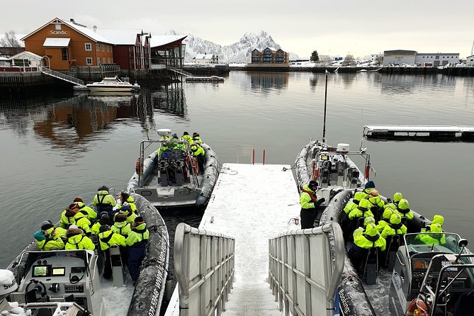 Trollfjord and Sea Eagle Safari Tour from Svolvaer - Watching white-tailed sea eagles at close range