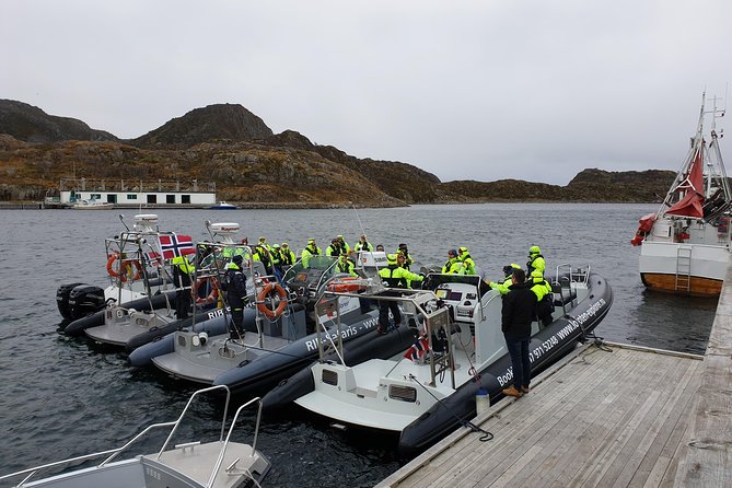 Trollfjord and Sea Eagle Safari Tour from Svolvaer - How much value do you get for $139.81?