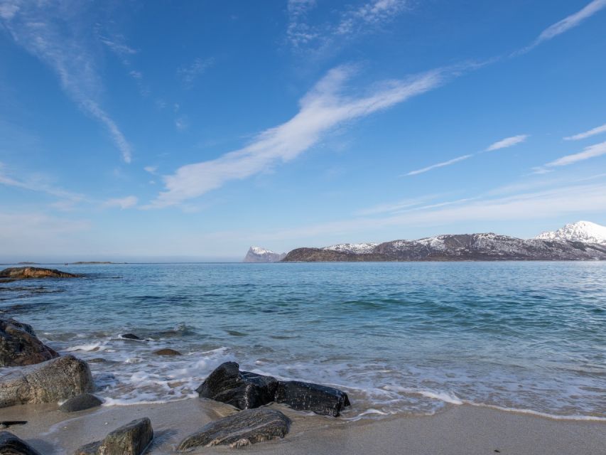 Tromso: All-Inclusive Arctic Fjords and Sommarøy Scenic Tour - Why Kvaløya makes this more than a bus ride