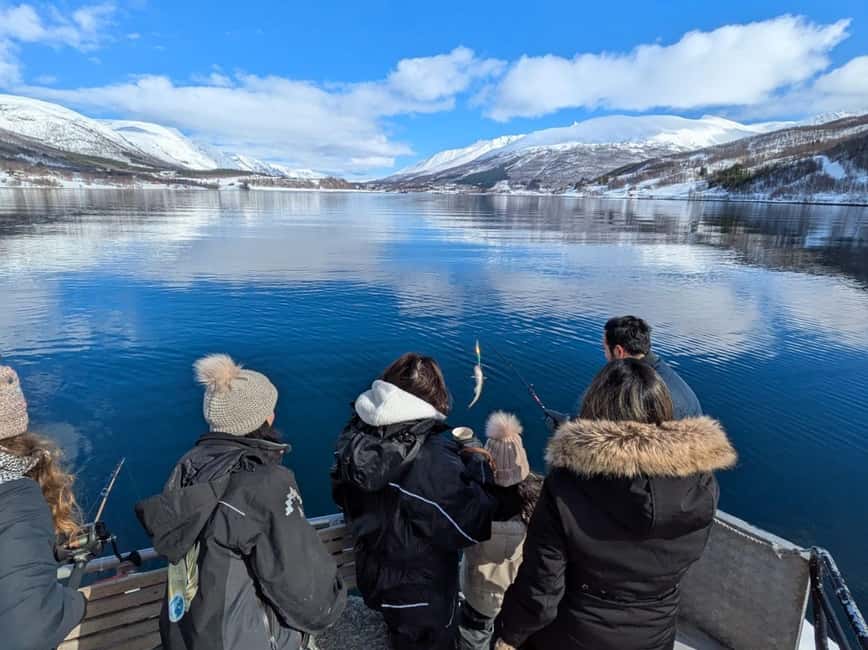 Tromsø: Arctic Fjord Cruise & Fishing Experience - What makes this Tromsø cruise worth considering