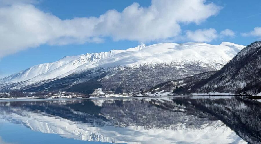 Tromsø: Arctic Fjord Cruise & Fishing Experience - Setting out from central Tromsø