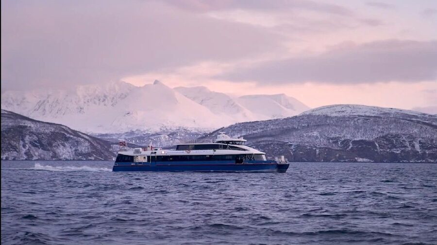 Tromsø: Arctic Fjord Cruise in Polar Landscapes - Wildlife watching with real patience