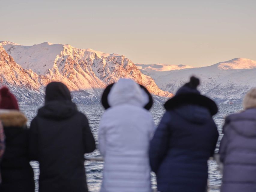 Tromsø: Arctic Fjord Cruise in Polar Landscapes - Cold-weather comfort and the deck decision