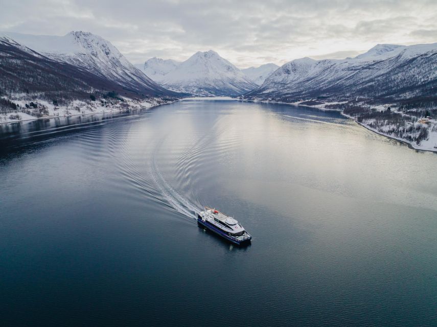 Tromsø: Arctic Fjord Cruise in Polar Landscapes - Is $120 a fair price?
