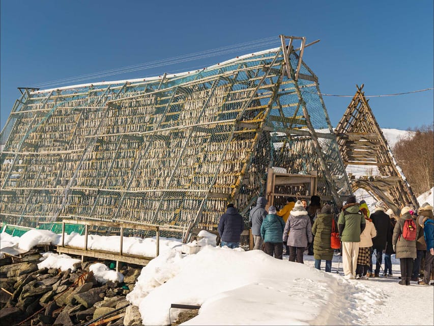 Tromsø: Arctic Fjord Cruise With Stop On Land At Fish Racks - Key things to know before you book