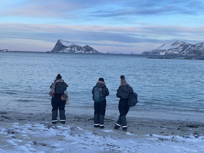 Tromsø: Arctic fjord sightseeing, Reindeer feeding and lunch - Who should book this day out?
