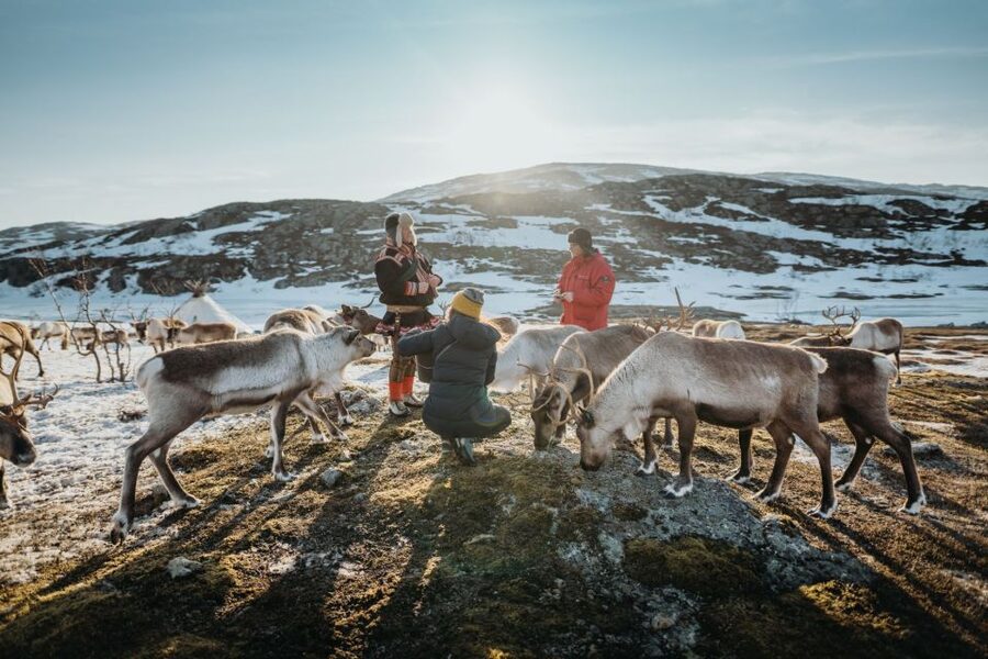 Tromsø: Arctic fjord sightseeing, Reindeer feeding and lunch - Leaving Tromsø for Kvaløya