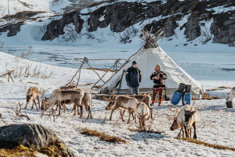 Tromsø: Arctic fjord sightseeing, Reindeer feeding and lunch - Sommarøy, white beaches, and Arctic water