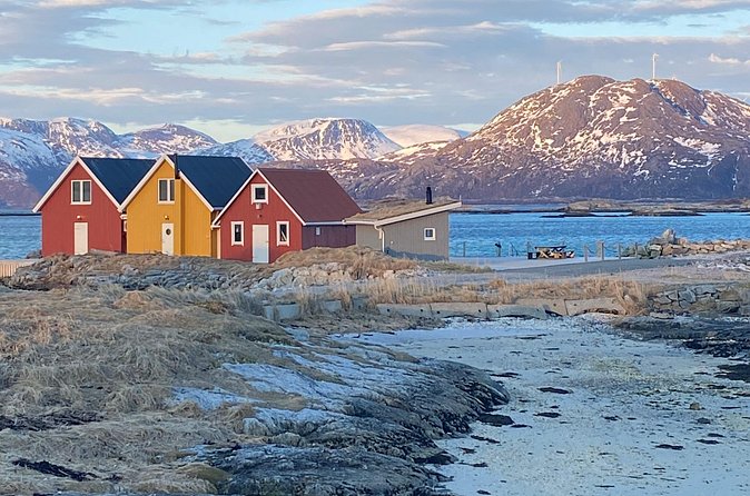 Tromsø Arctic Fjords Adventure Tour with Local Lunch - Local food and a possible Arctic bath