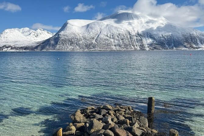 Tromsø Arctic Fjords Adventure Tour with Local Lunch - Wildlife watching on Kvaløya