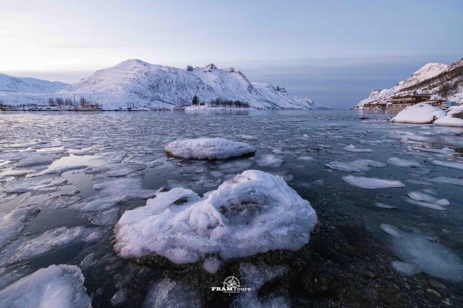 Tromsø: Arctic Fjords Tour to Kvaløya with Panoramic Lunch - Kvaløya fjords tour at a glance