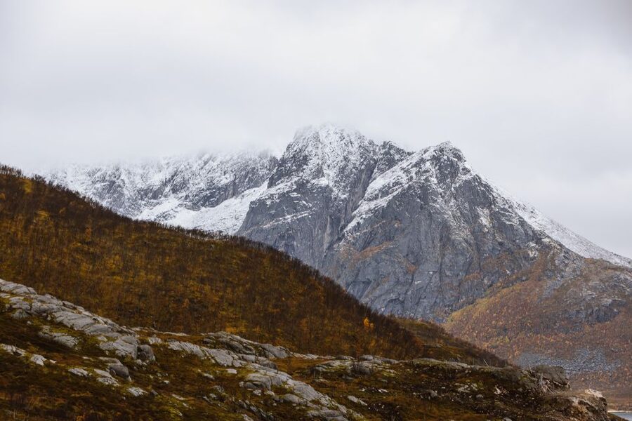 Tromsø: Arctic Fjords Tour to Kvaløya with Panoramic Lunch - What the $194 price delivers