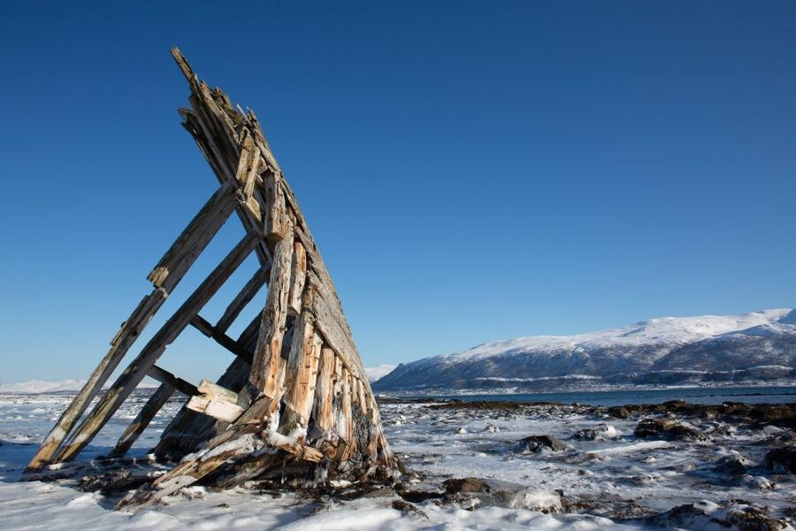 Tromsø: Arctic Fjords Tour to Kvaløya with Panoramic Lunch - Wildlife watching from the van and viewpoints