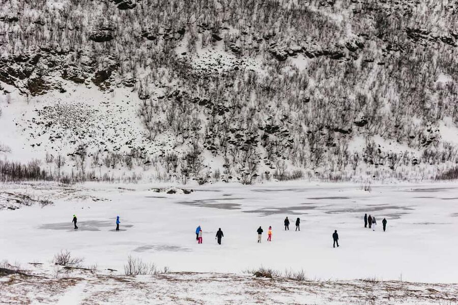 Tromsø: Arctic Landscape and Fjord Tour with Snacks - Key points to know before you go