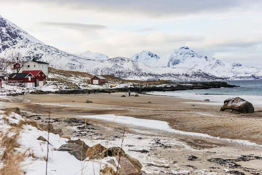 Tromsø: Arctic Landscape and Fjord Tour with Snacks - Håkøya and the road beside the sea