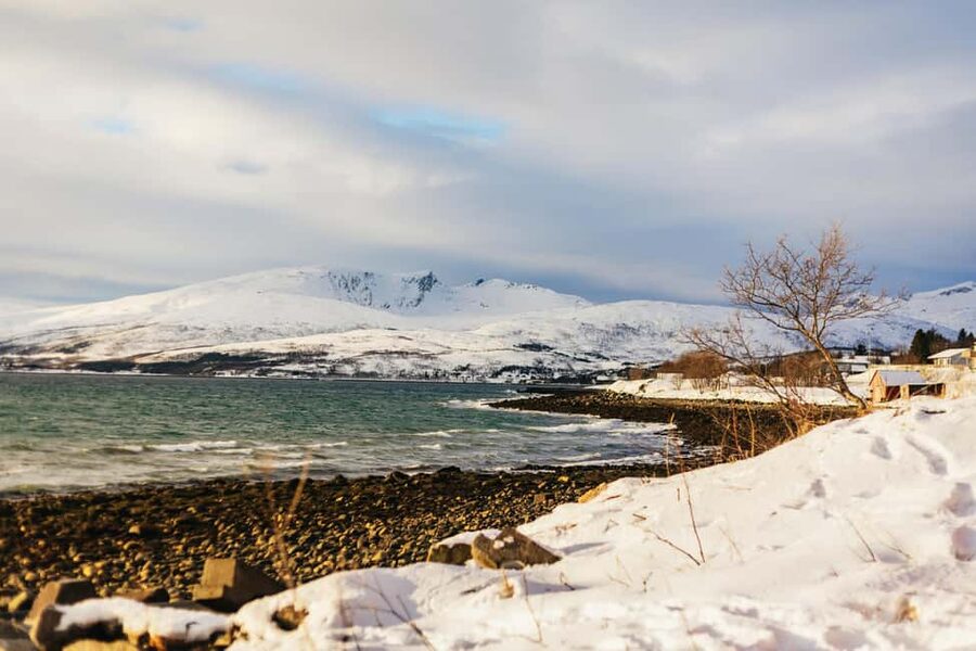 Tromsø: Arctic Landscape and Fjord Tour with Snacks - Fjordvegen and the smaller-road advantage