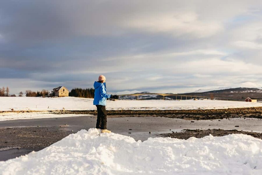 Tromsø: Arctic Landscape and Fjord Tour with Snacks - Wildlife, small settlements, and what you might see