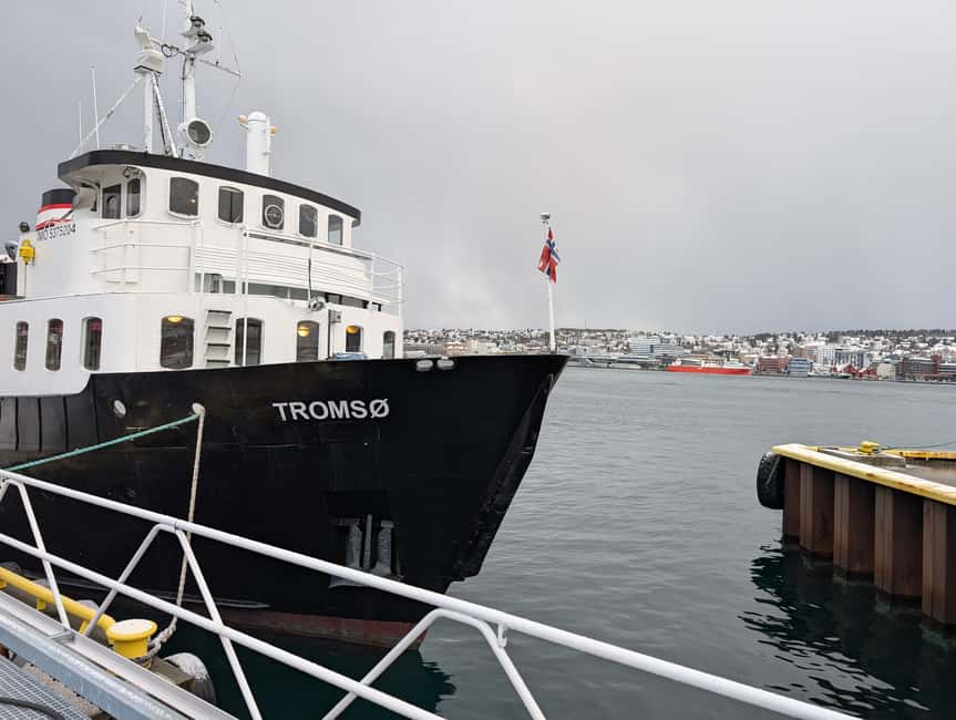 Tromsø: Classic arctic fjord cruise with lite lunch - Arctic stories from the captain and crew