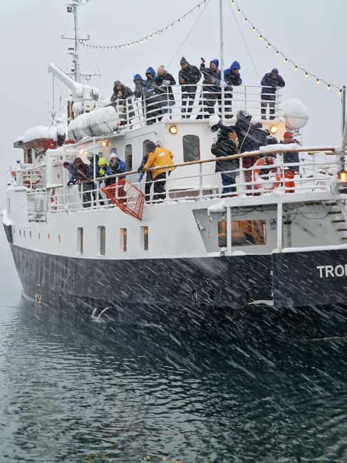 Tromsø: Classic arctic fjord cruise with lite lunch - The unusual timing issue to understand