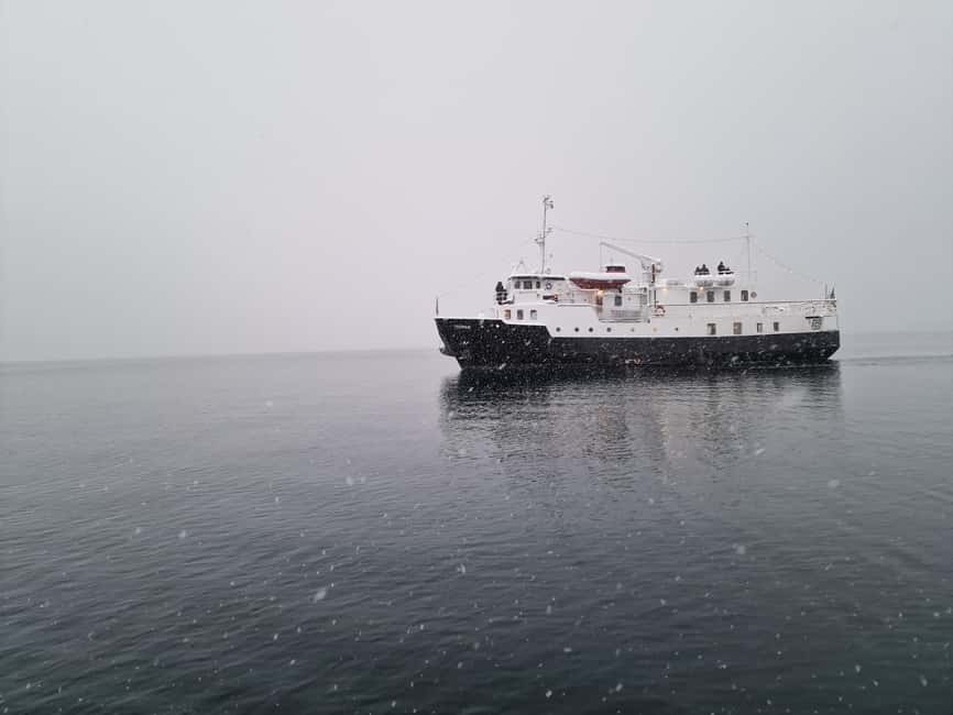 Tromsø: Classic arctic fjord cruise with lite lunch - Tromsø island and the route toward Balsfjorden