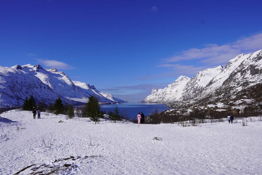 Tromsø: Exclusive Fjord Adventure by Bus - Grotfjord and the white-sand beach