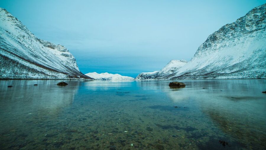Tromsø: Exclusive Fjord Adventure by Bus - Wildlife, villages, and unscripted moments