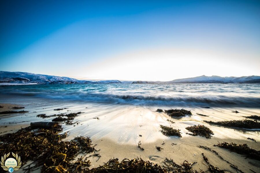 Tromsø: Exclusive Fjord Adventure by Bus - What the guides add
