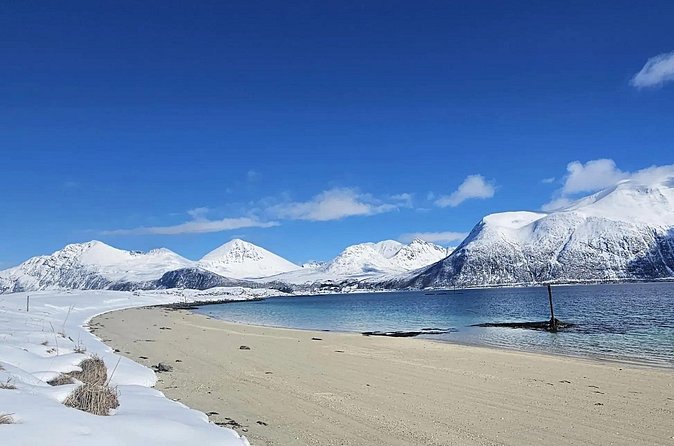 Tromso Excursion Artica Fjords and Sommaroy Islands with lunch - What the $181.39 price includes