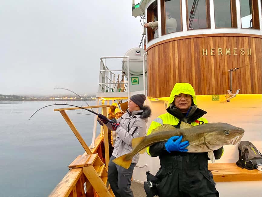 Tromsø: Fishing & Fjord Cruise - Meeting Hermes II at Pier 12