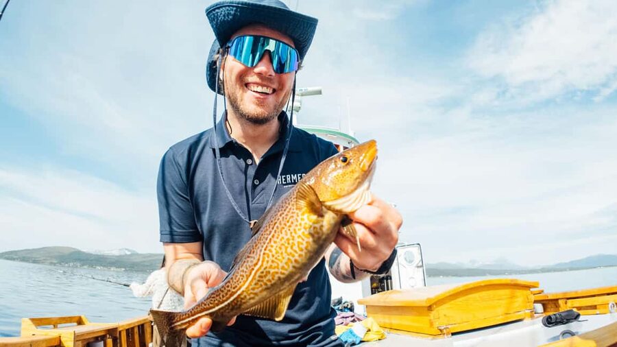 Tromsø: Fishing & Fjord Cruise - Eating your own fish on the boat