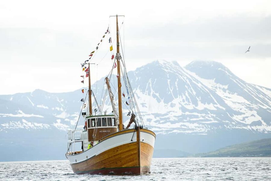 Tromsø: Fishing & Fjord Cruise - Is $198 a fair price?