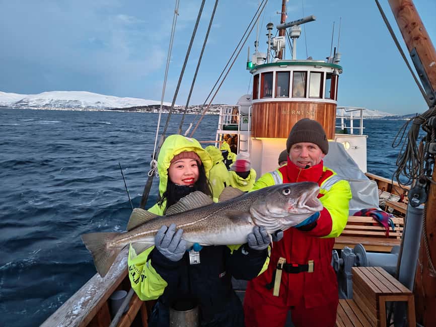 Tromsø: Fishing & Fjord Cruise - Four and a half hours of fjords, fishing, and quiet water