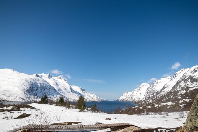 Tromsø: Fjord Adventure Tour with Wildlife and Lunch - Key points before you book