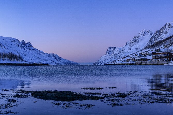 Tromsø: Fjord Adventure Tour with Wildlife and Lunch - Wildlife watching without false promises