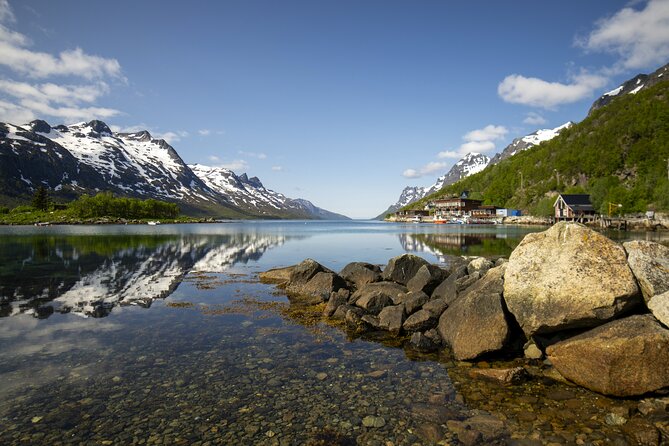 Tromsø: Fjord Adventure Tour with Wildlife and Lunch - Photography help and included images