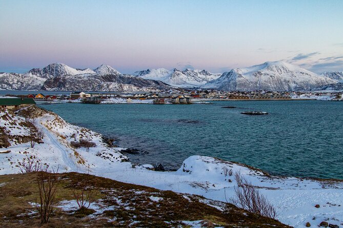 Tromsø: Fjord Adventure Tour with Wildlife and Lunch - Walking, cold, and bathroom timing