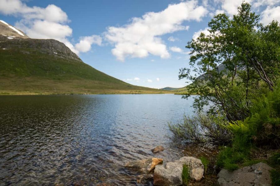 Tromsø: Fjord Adventure with Lunch and Photos - Who should book this fjord adventure?