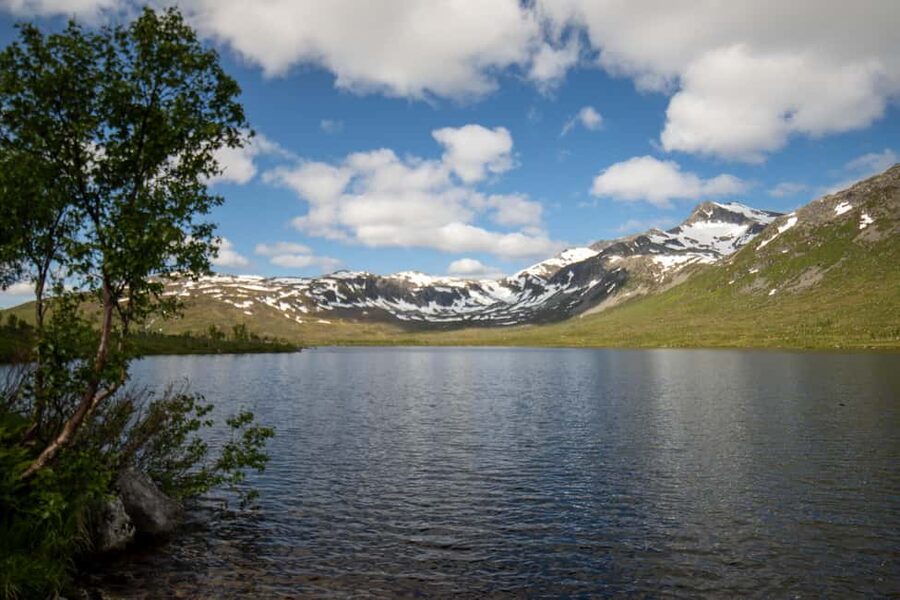 Tromsø: Fjord Adventure with Lunch and Photos - Sommarøy brings the sea and open space