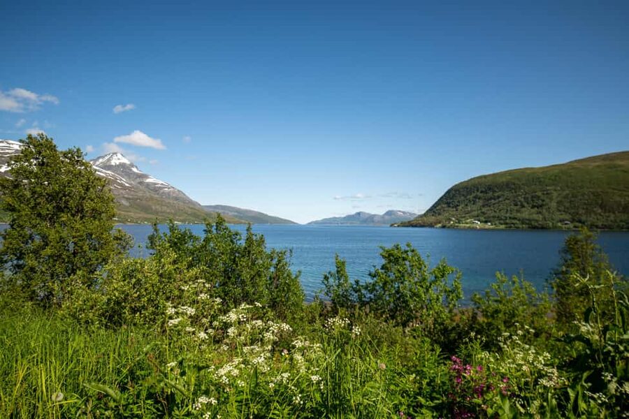 Tromsø: Fjord Adventure with Lunch and Photos - Is $104 a fair price?