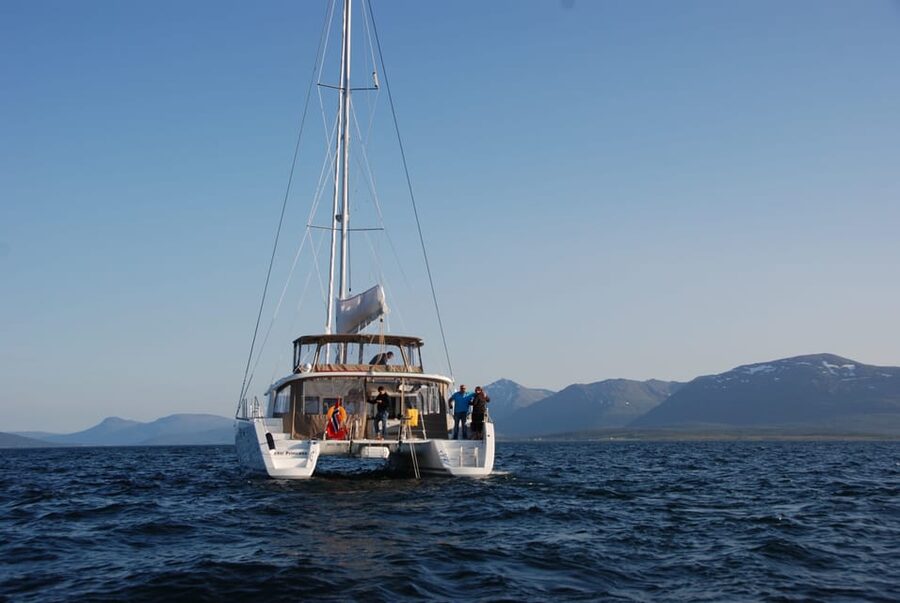 Tromsø: Fjord and Islands Luxury Catamaran Cruise - Fish soup on the return to Tromsø