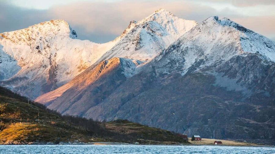 Tromso: Fjord Arctic Adventure Expedition - What makes this Tromso fjord tour worth your time