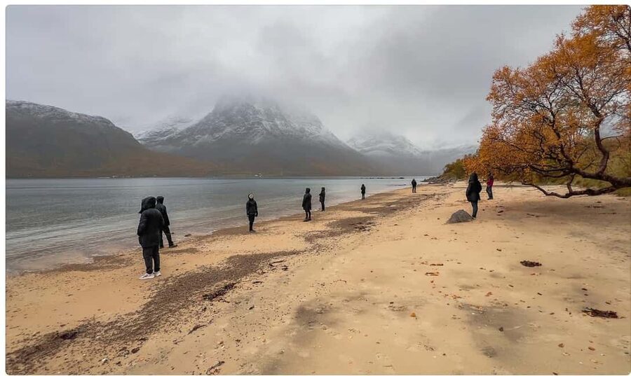 Tromso: Fjord Arctic Adventure Expedition - Who should book this fjord adventure?