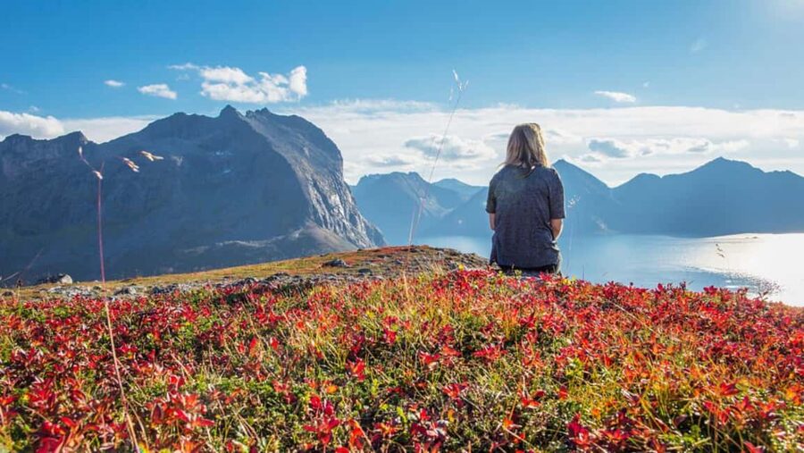 Tromso: Fjord Arctic Adventure Expedition - From Scandic Ishavshotel to the fjords